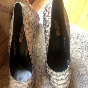 Dolce and Gabbana timeless pumps